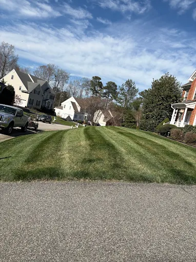 Front lawn with crisp mowing stripes on a sunny day