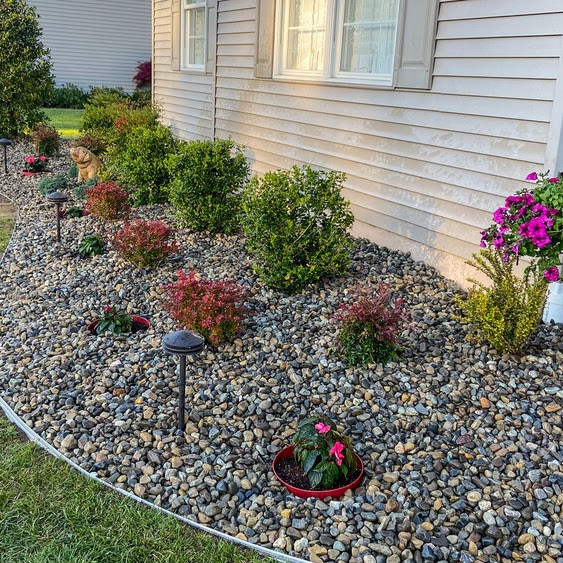 River rock bed with trimmed shrubs and seasonal flowers along a home