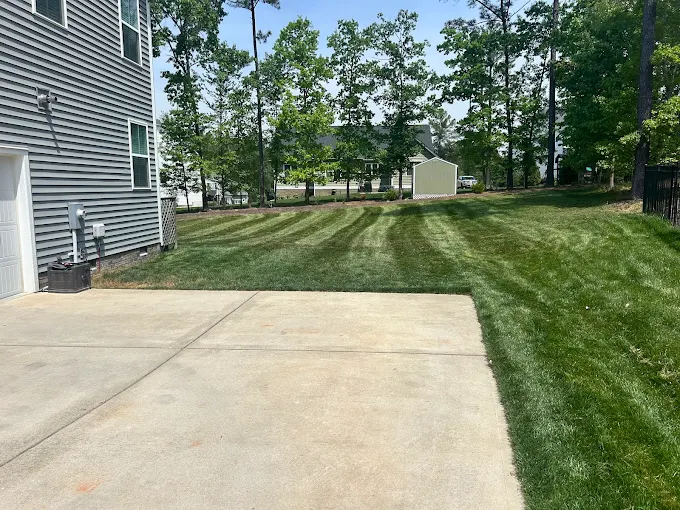 Freshly mowed backyard with clean mower stripes beside a driveway