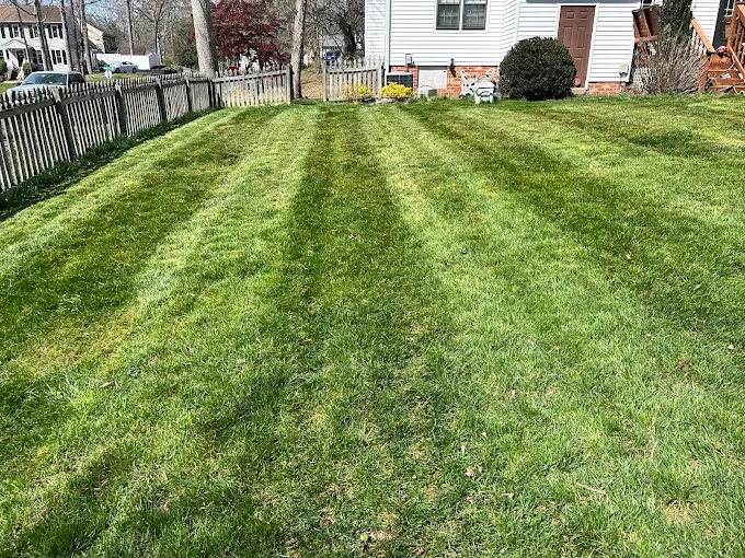 Wide striped lawn mowed edge to edge behind a fenced yard