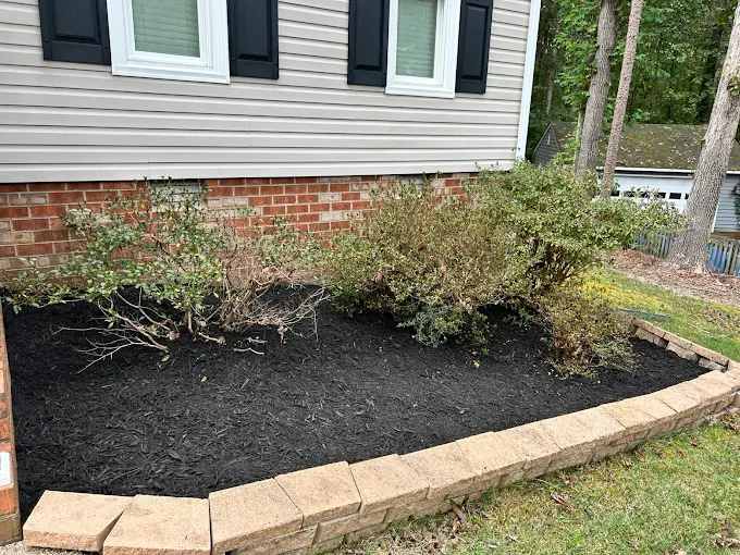 Fresh black mulch installed in a stone-edged shrub bed